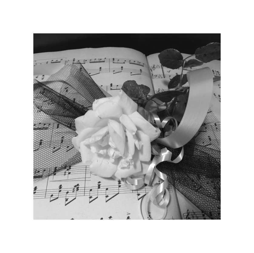 Trauerfeier Trauermusik